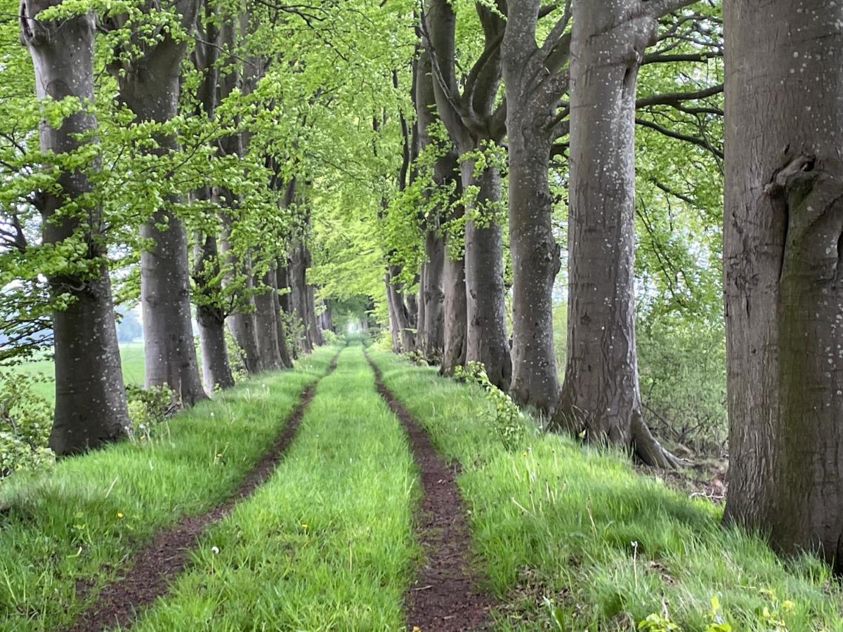 Het Riethuis Holthone ภายนอก รูปภาพ