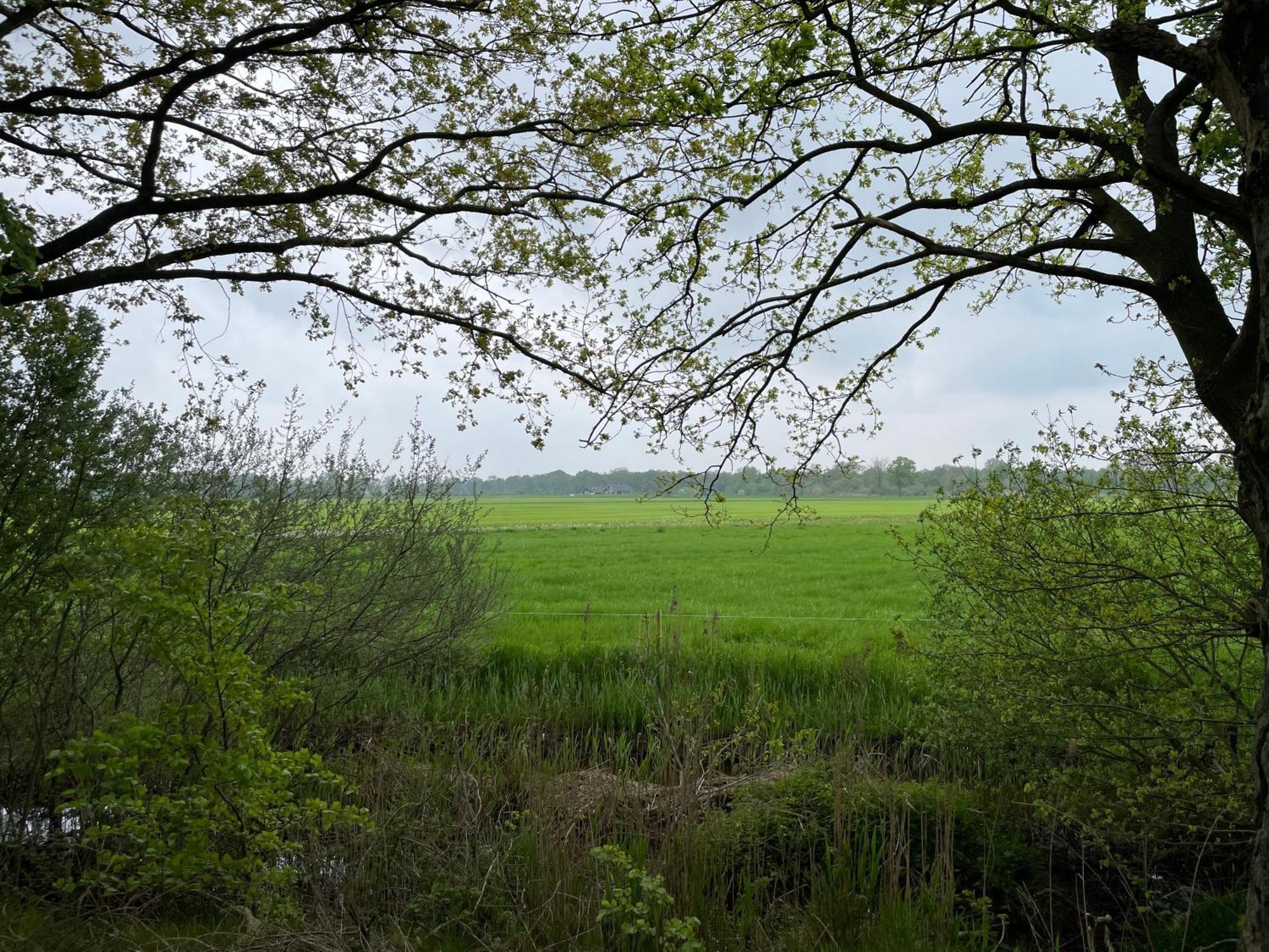 Het Riethuis Holthone ภายนอก รูปภาพ
